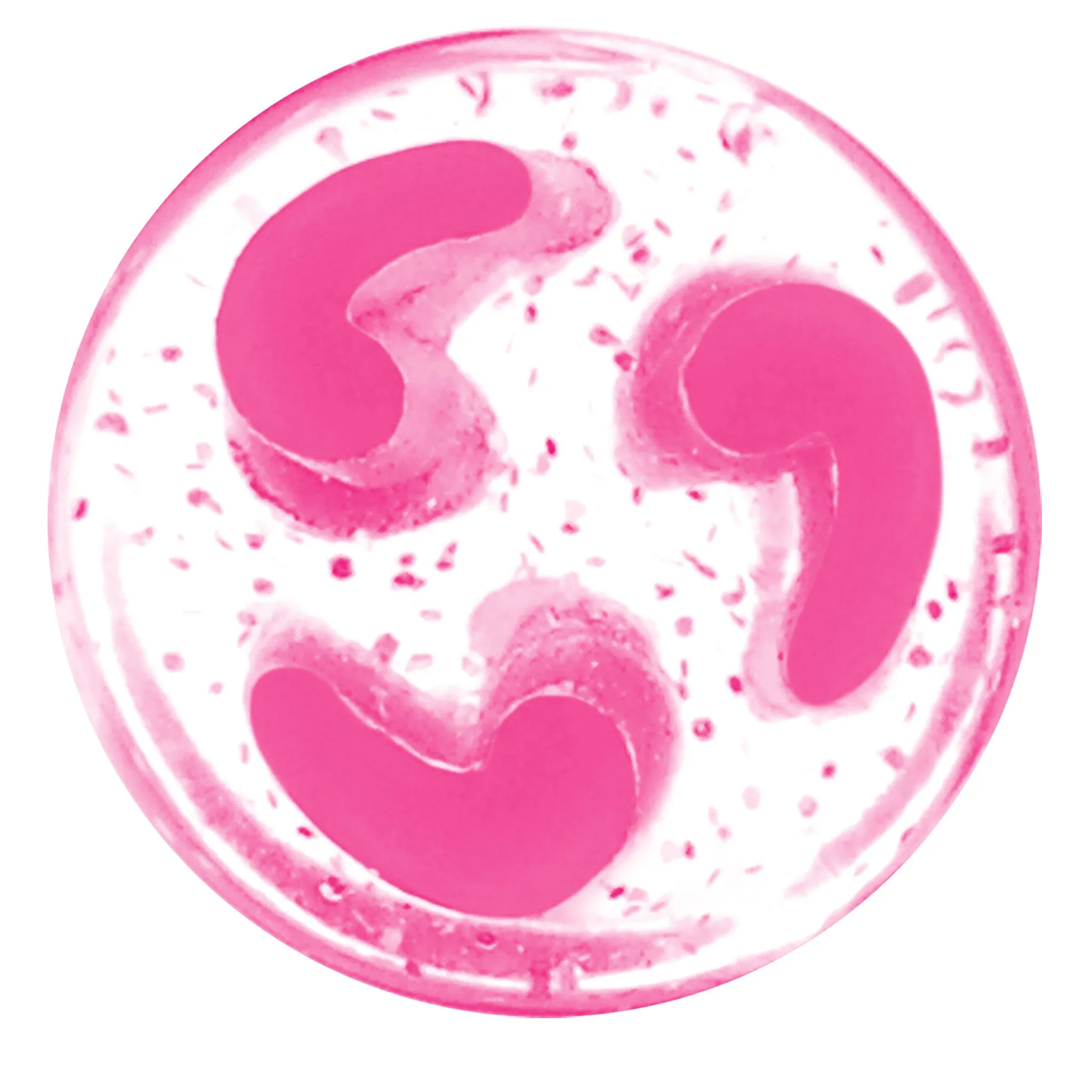 0 Gauge Pink Quotation Symbol Saddle Plug