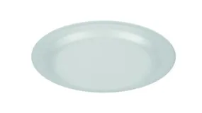 9" Polystyrene Foam Plates (TP3)