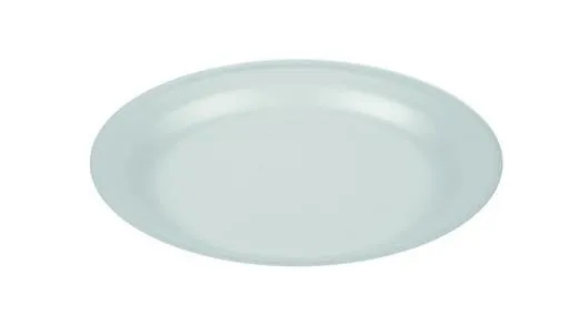 9" Polystyrene Foam Plates (TP3)