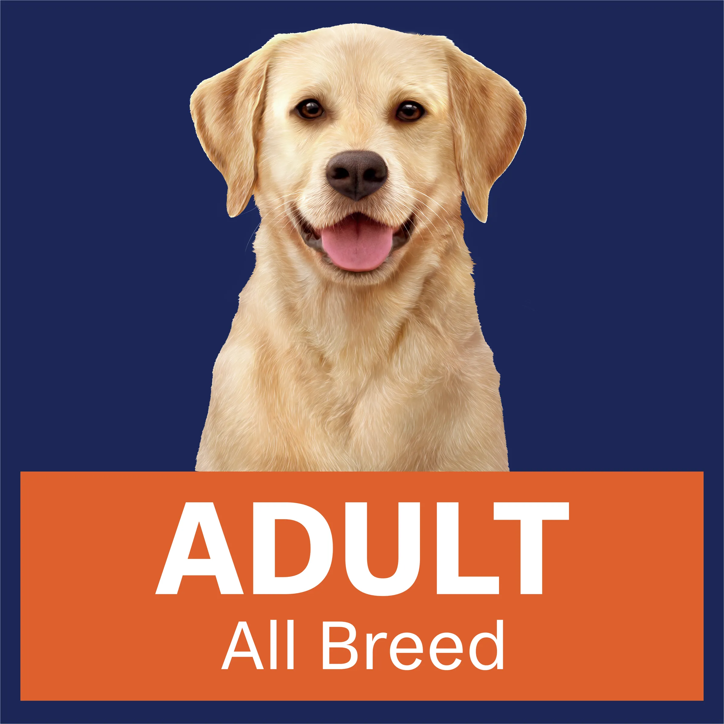 Advance Turkey And Rice Healthy Weight All Breed Adult Wet Dog Food Trays 100g x 12