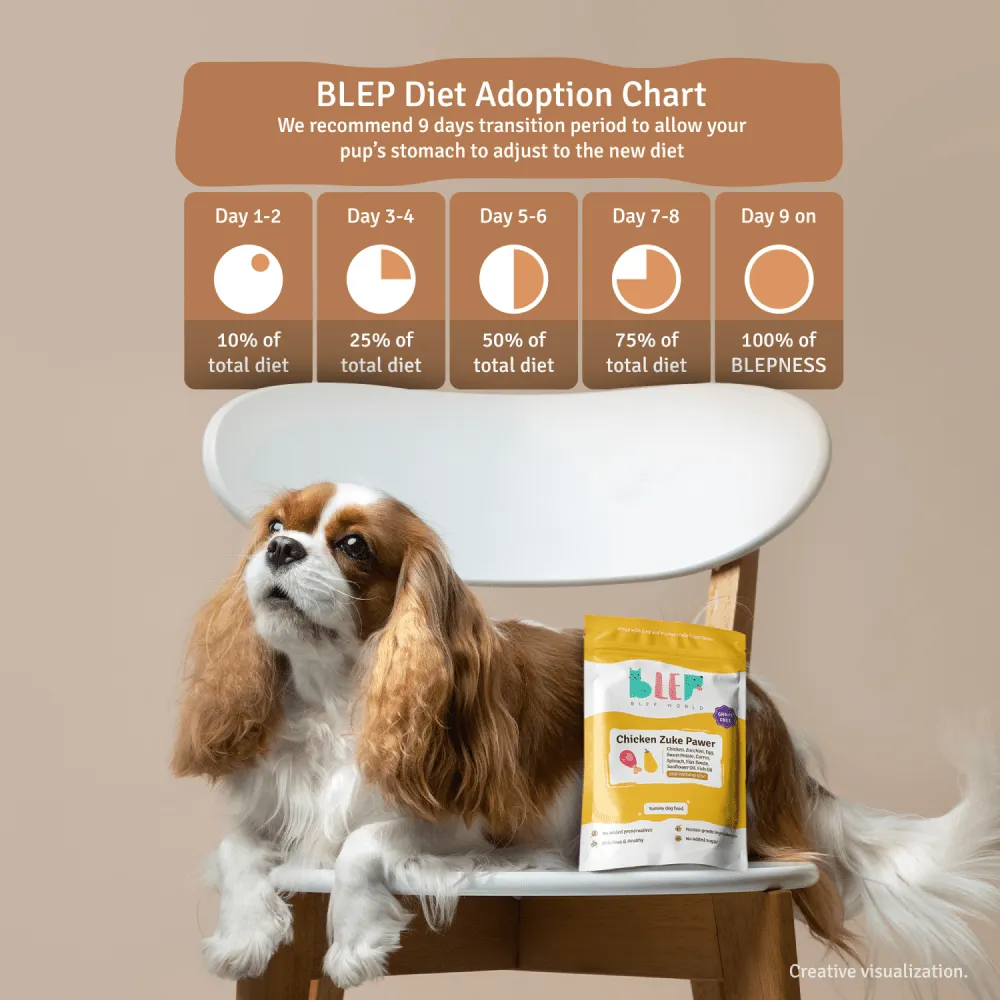 BLEP Chicken Zuke Pawer Dog Wet Food (100g)