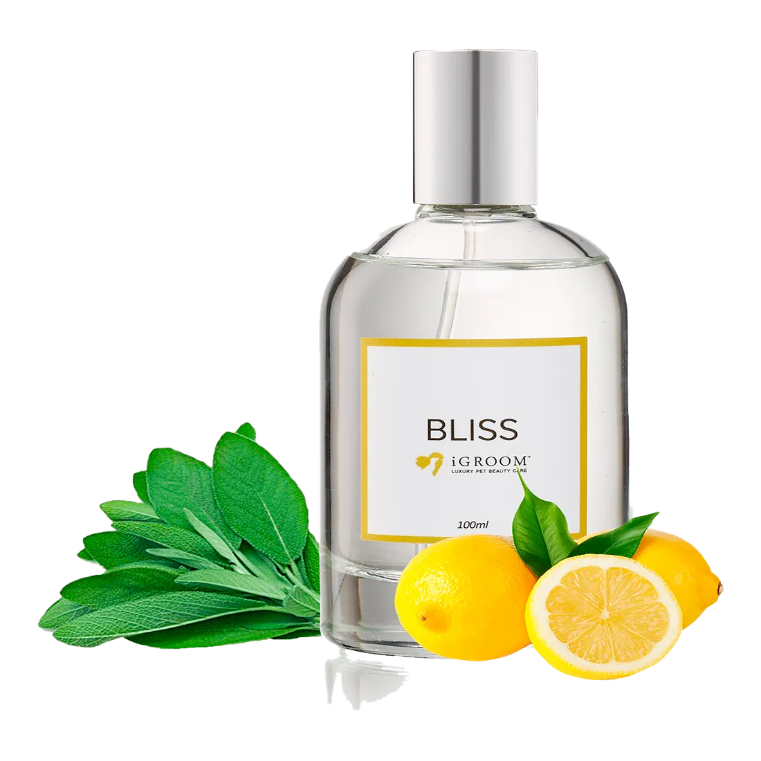 Bliss Perfume 100ml by iGroom