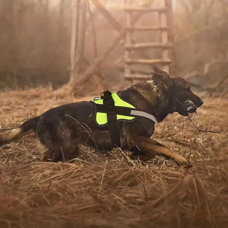 Breathable Reflective Dog Harness