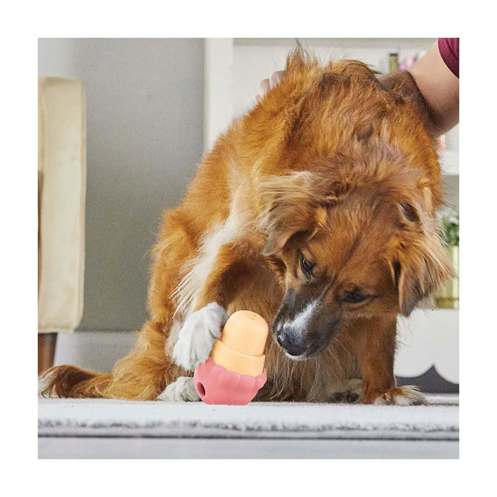 Brightkins Dog Large Ice Cream Treat Dispenser
