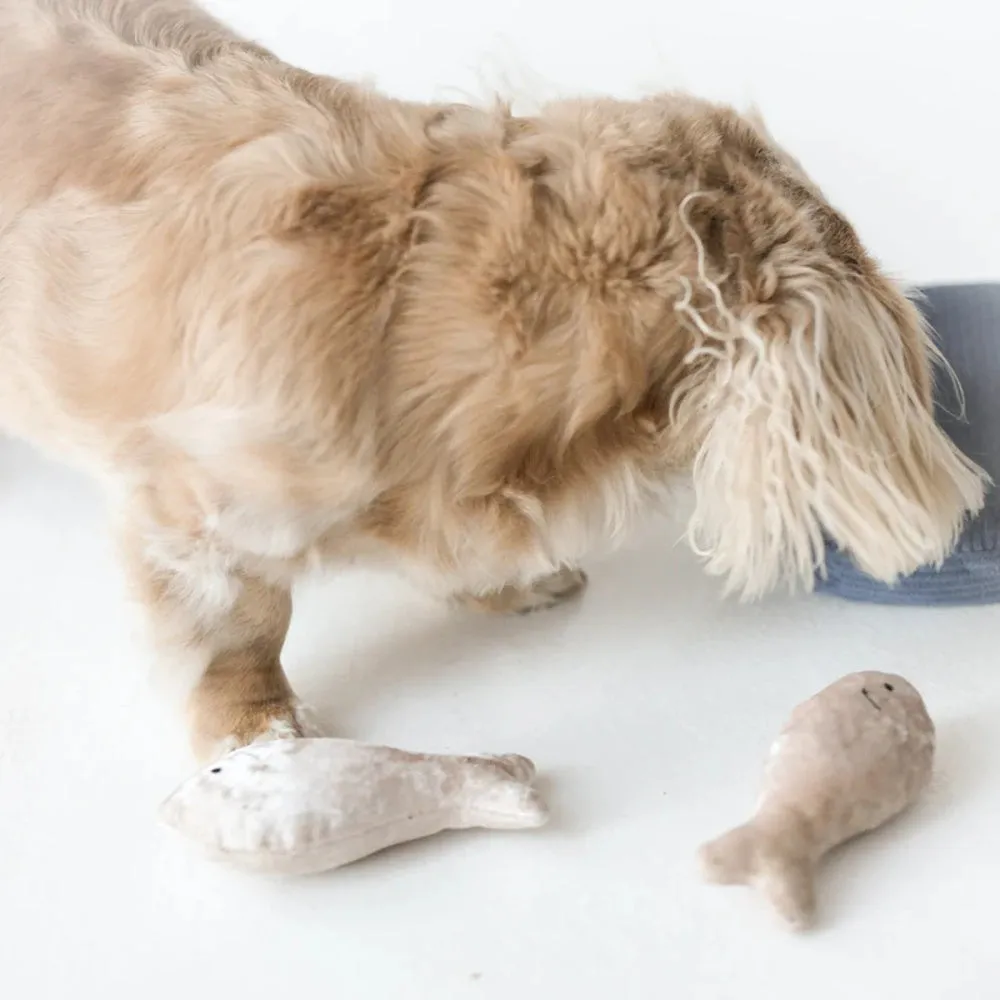 Burrow Sardines Dog Toy