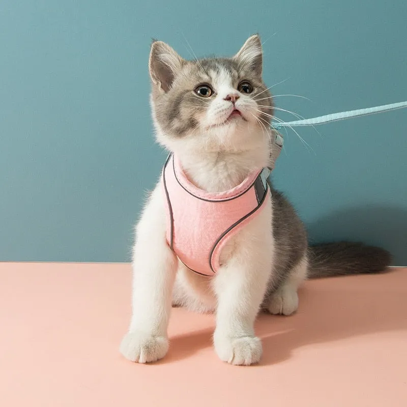 Cat Dog Harness And Leash Set