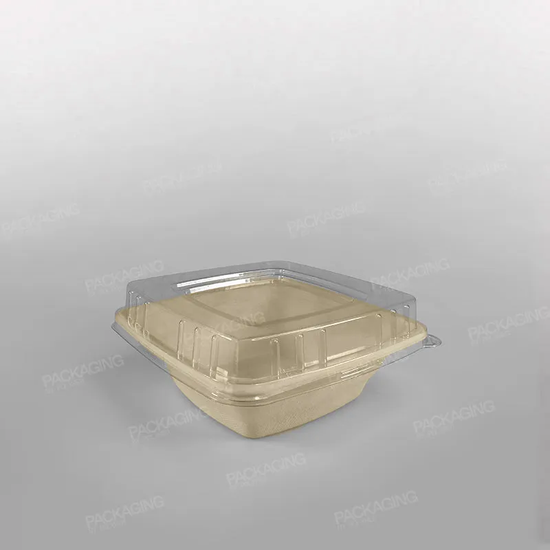 Compostable Sugarcane Pulp Square Bowls