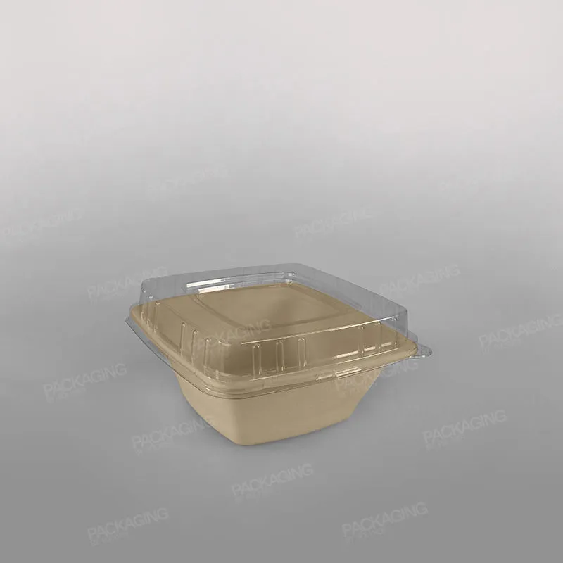 Compostable Sugarcane Pulp Square Bowls