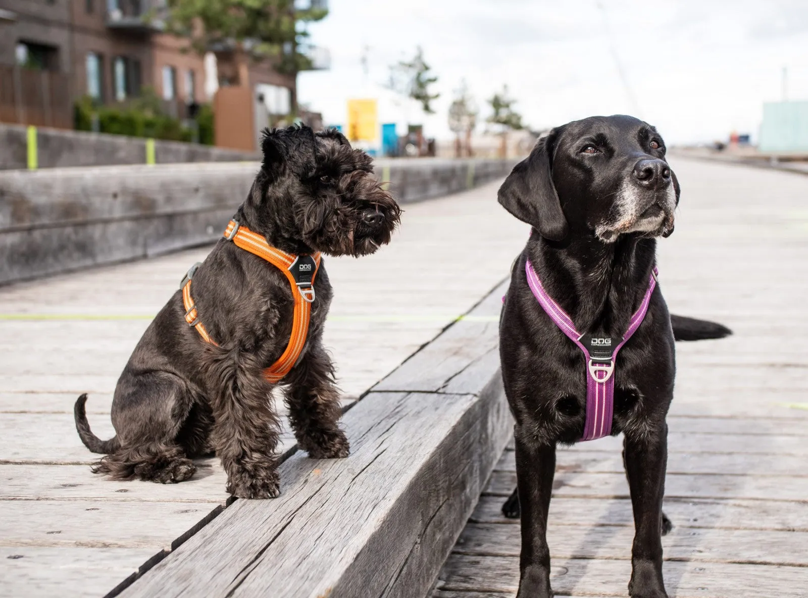 Copenhagen Comfort Walk Pro Dog Harness- Red