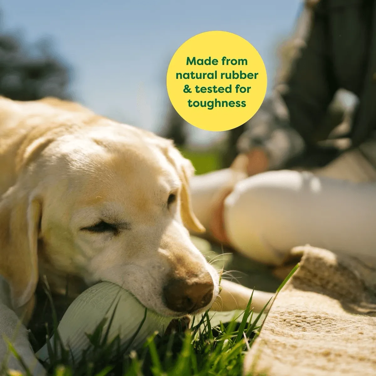 Earth Rated Treat Dispenser Dog Toy
