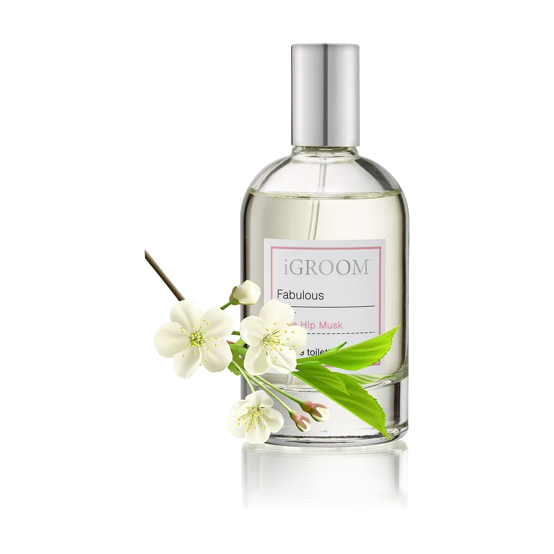 Fabulous Perfume 100ml by iGroom