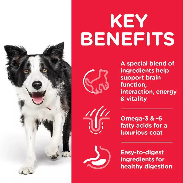 Hill's Science Plan Adult 7  Senior Vitality Medium Dog Food Chicken