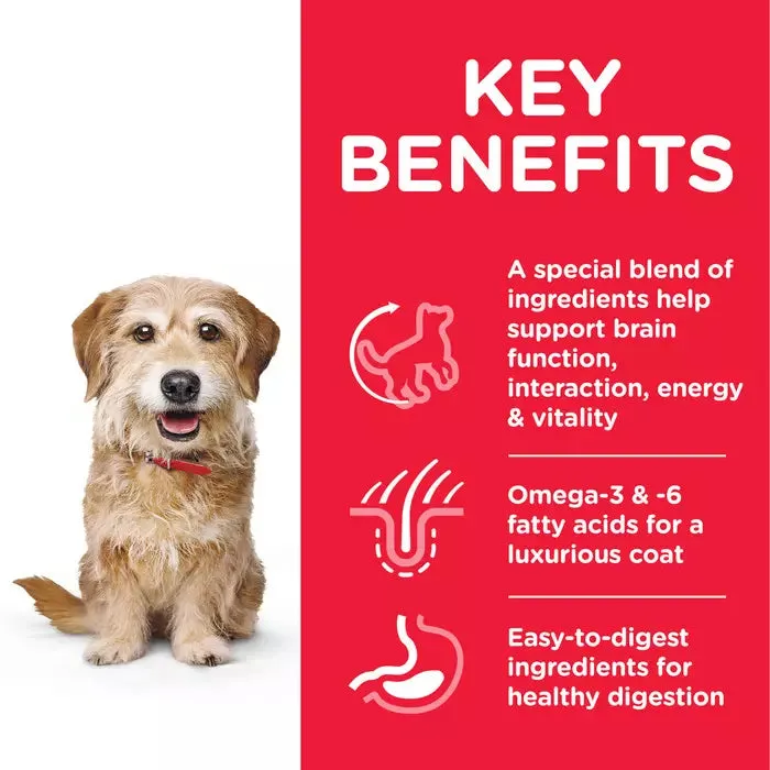 Hill's Science Plan Adult 7  Senior Vitality Small and Mini Chicken Dog Food