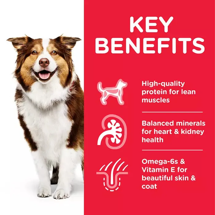 Hill's Science Plan Mature Adult Medium Lamb and Rice Dog Food