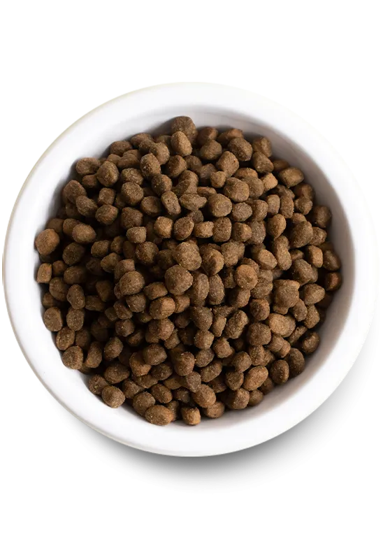 Kind Earth Premium Insect Dry Dog Food