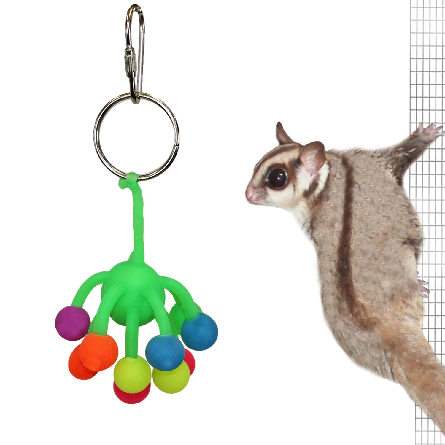 Klik Klak Toy