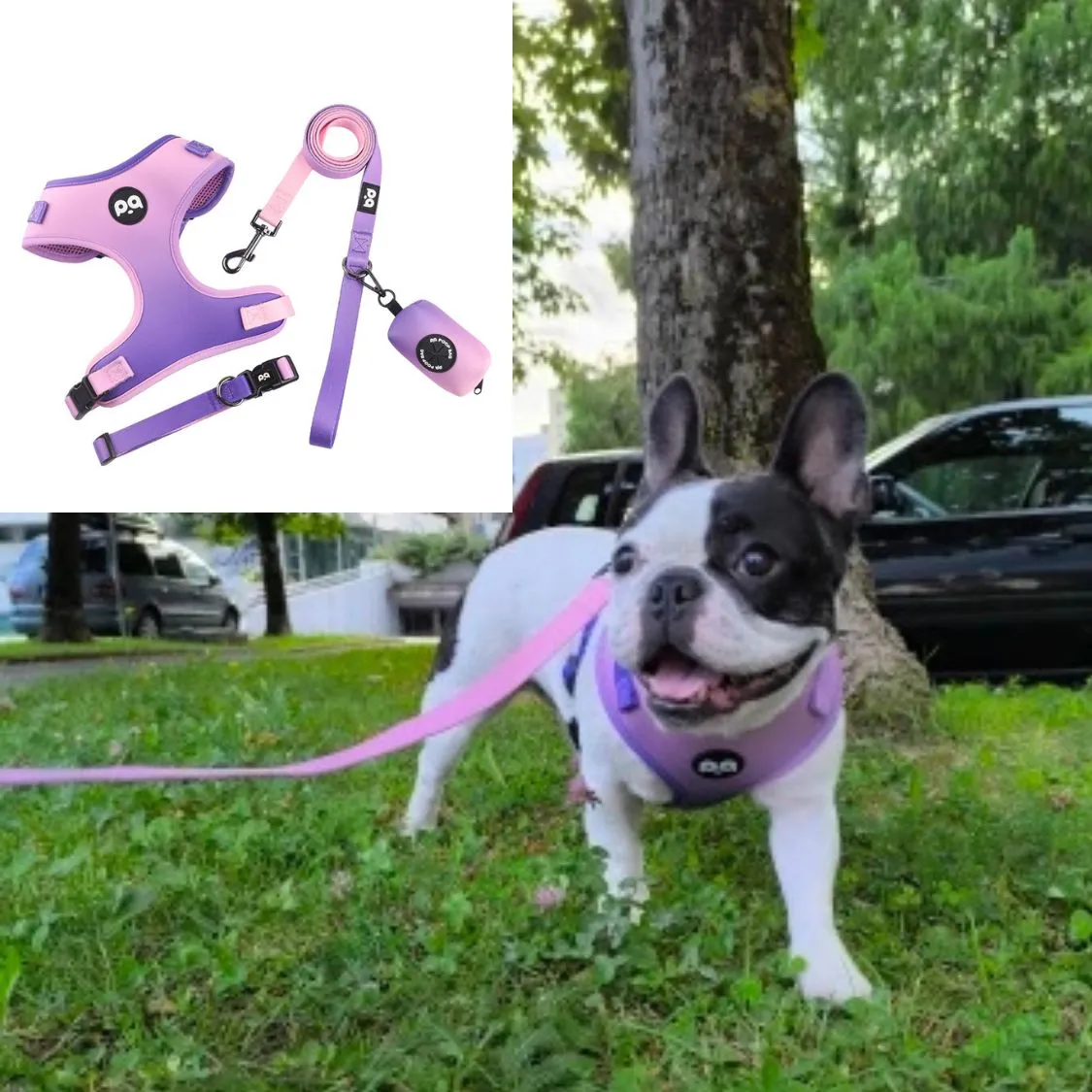 LeashLab Adjustable Frenchie Harness and Leash Set