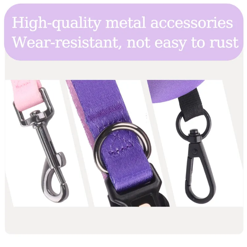 LeashLab Adjustable Frenchie Harness and Leash Set