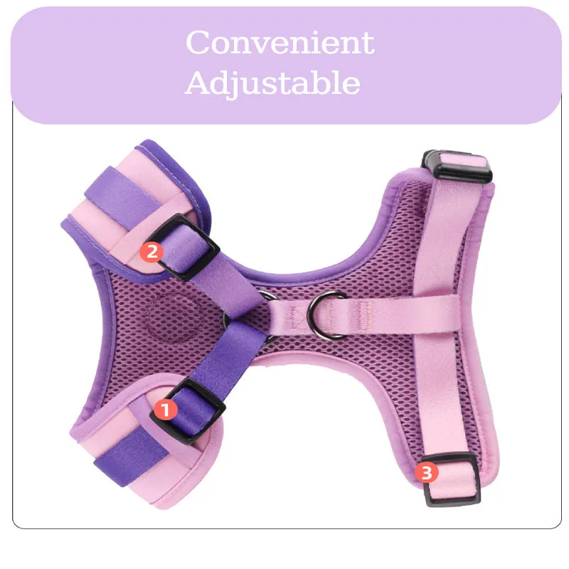 LeashLab Adjustable Frenchie Harness and Leash Set