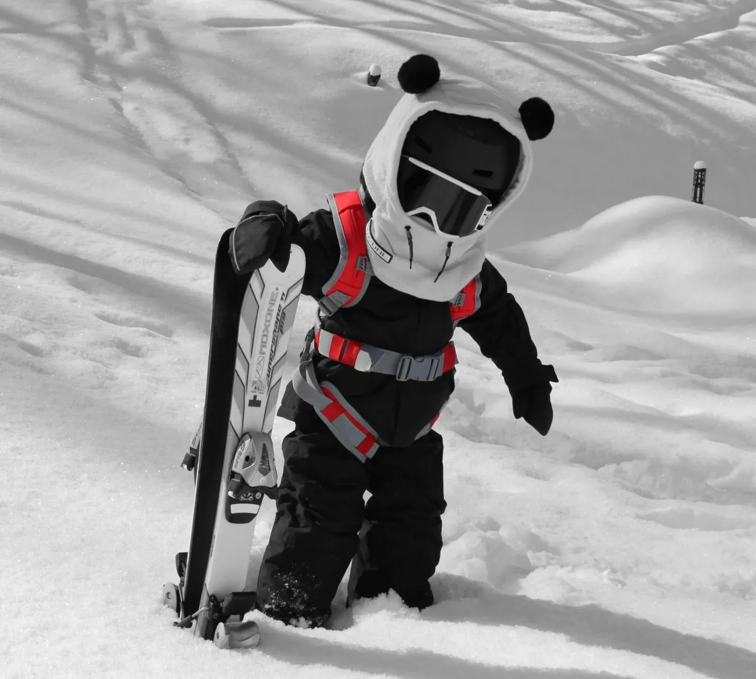MDXONE Kids Ski Harness The Static 9' Rope