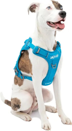 Medium Coastal Blue County Harness
