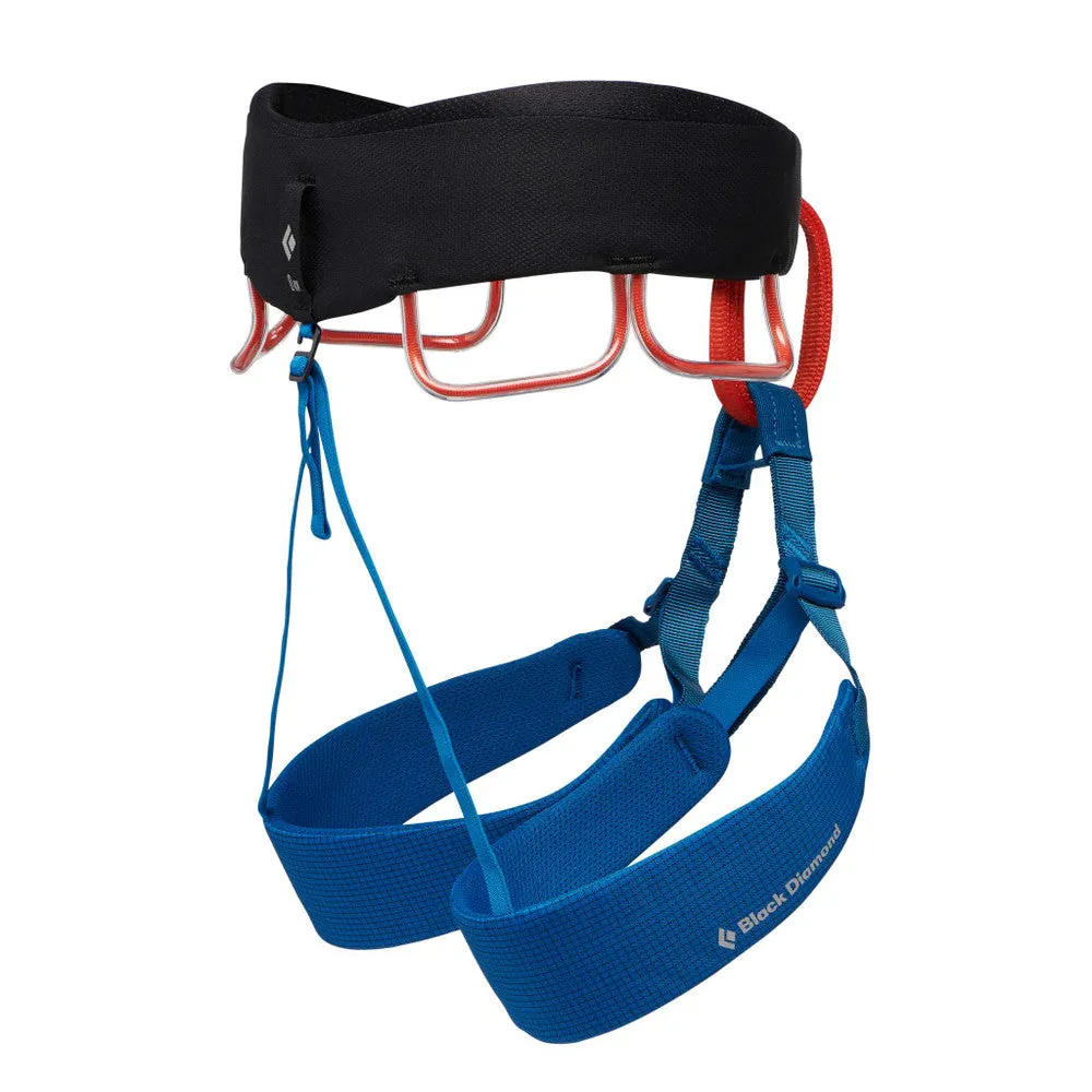 Momentum Harness - Kingfisher
