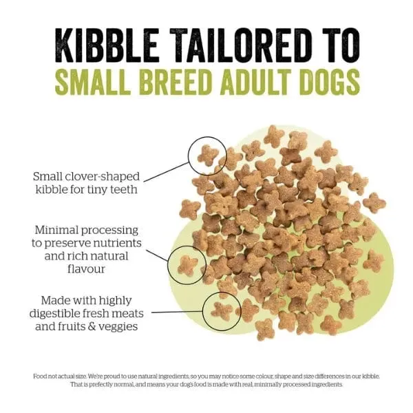Now Fresh Turkey, Salmon & Duck Recipe Small Breed Adult Dry Dog Food, 12lb