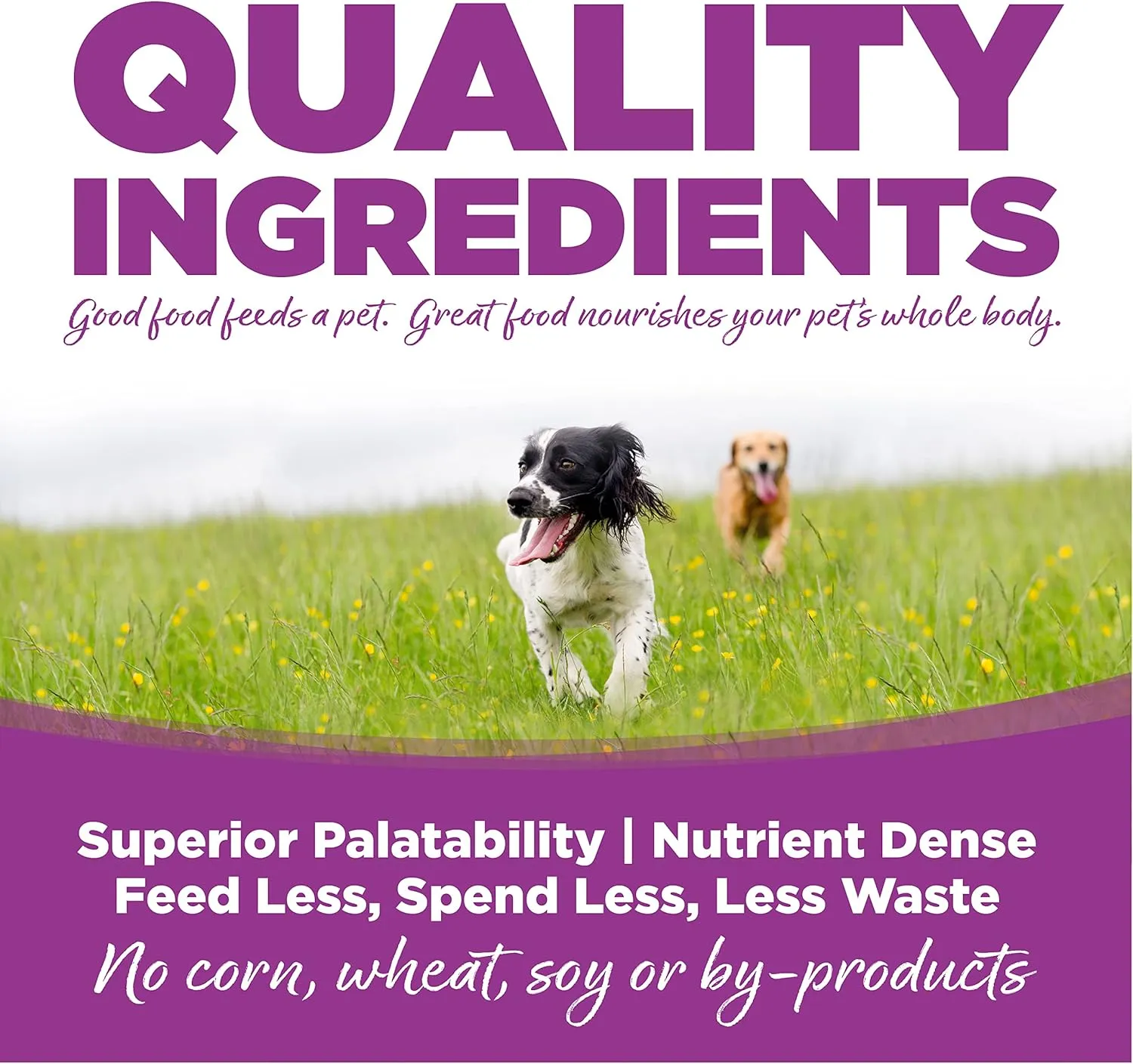 Nutrisource K9 Large Breed Puppy Chicken Dry Dog Food, 6lb