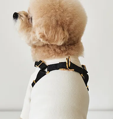 One Touch Leather Harness