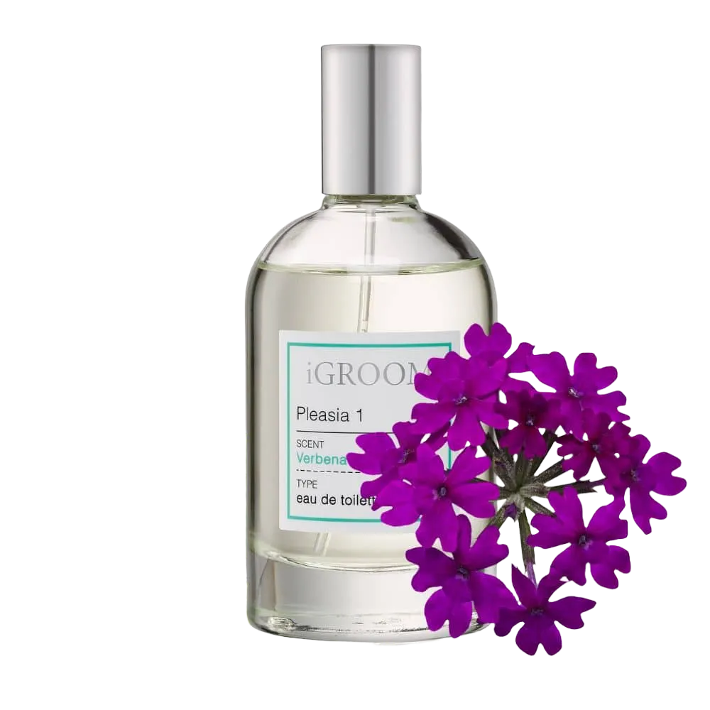 Pleasia 1 Perfume 100ml by iGroom