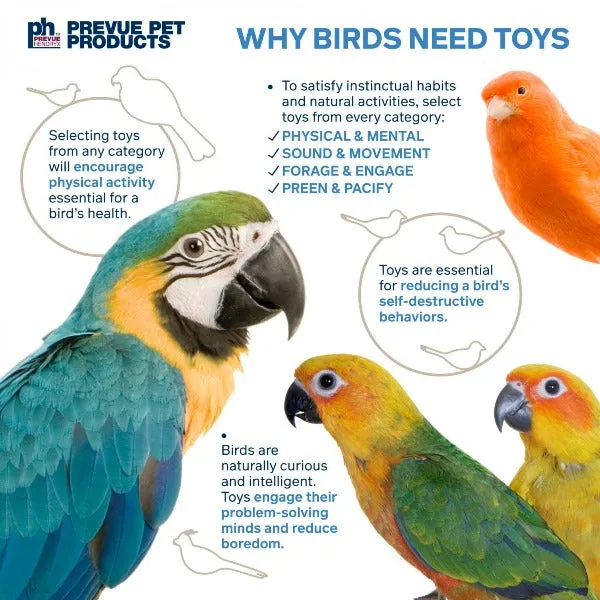 Prevue Pet Products Loops 'n Rings Bird Toy