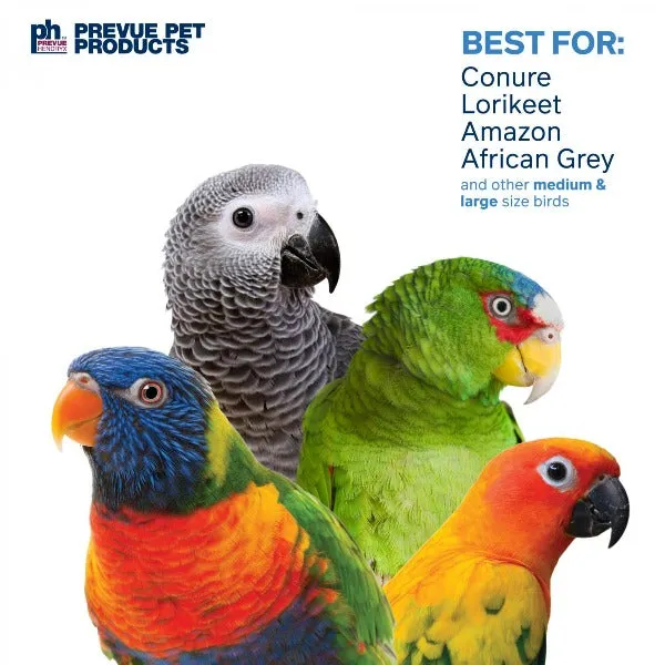 Prevue Pet Products Loops 'n Rings Bird Toy