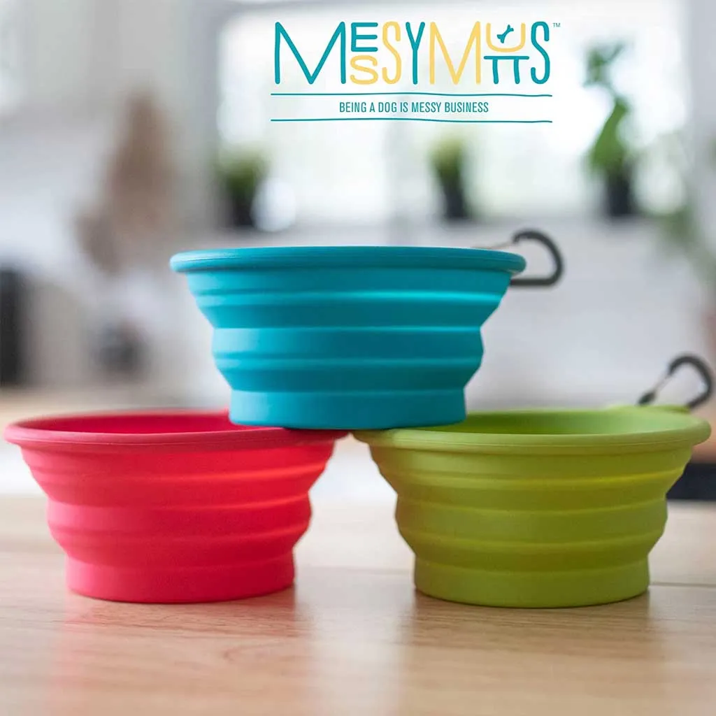 Red Silicone Collapsible Bowl