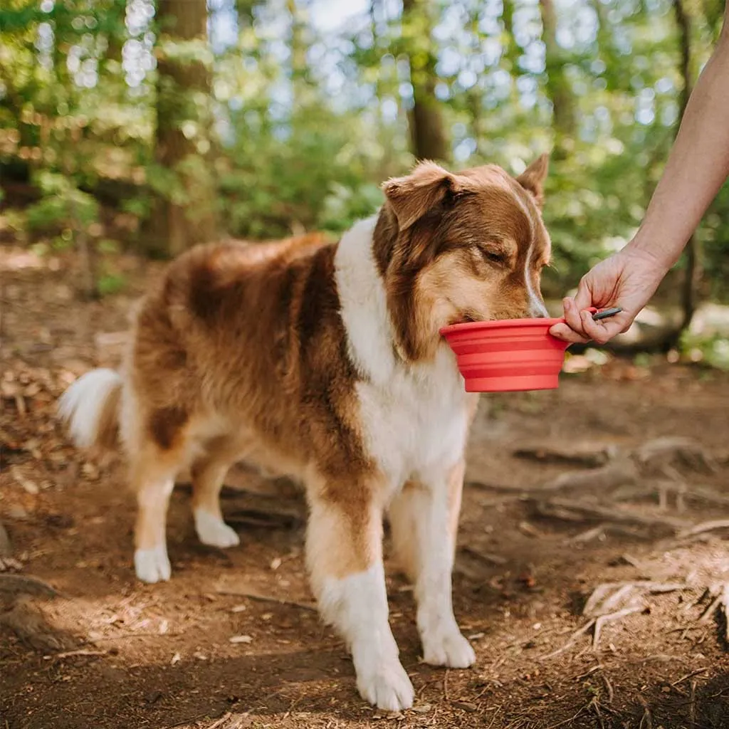 Red Silicone Collapsible Bowl
