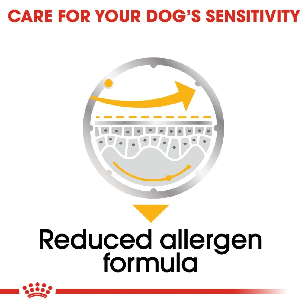 Royal Canin Dermacomfort Loaf Pouches