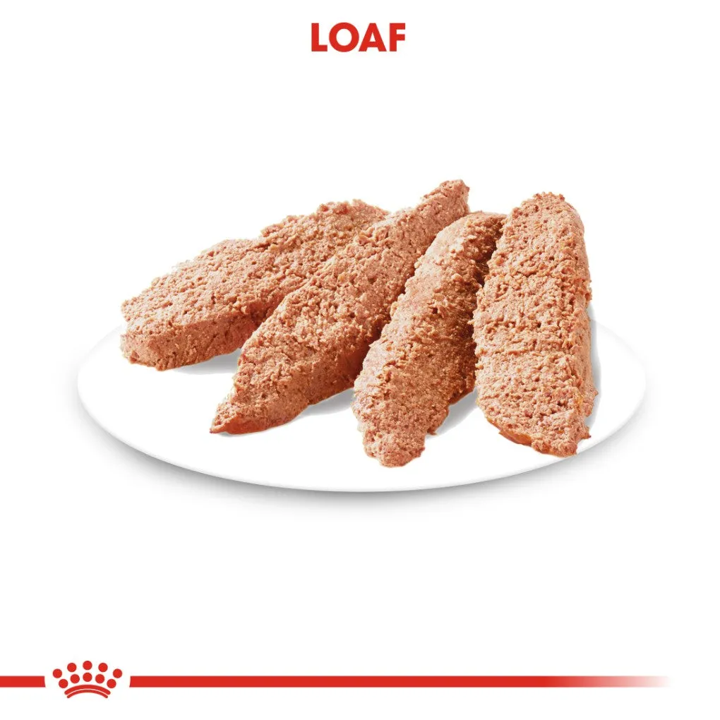 Royal Canin Dermacomfort Loaf Pouches