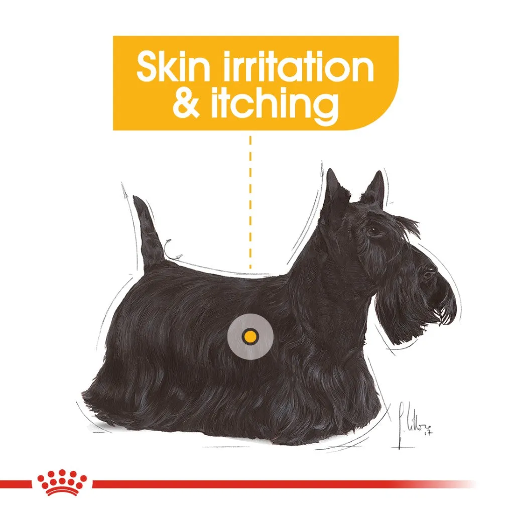 Royal Canin Dermacomfort Loaf Pouches