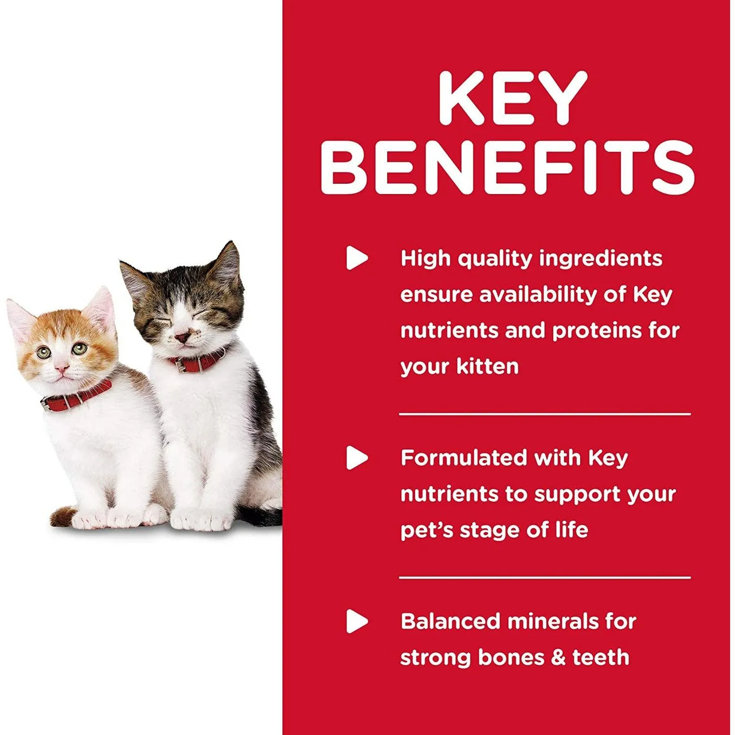 Science Diet Feline Tender Dinners Kitten Chicken