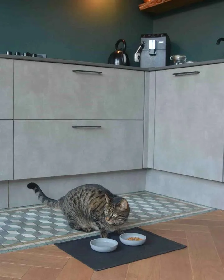 SERVE Mat for food and water bowl - Dark Gray 50x35cm