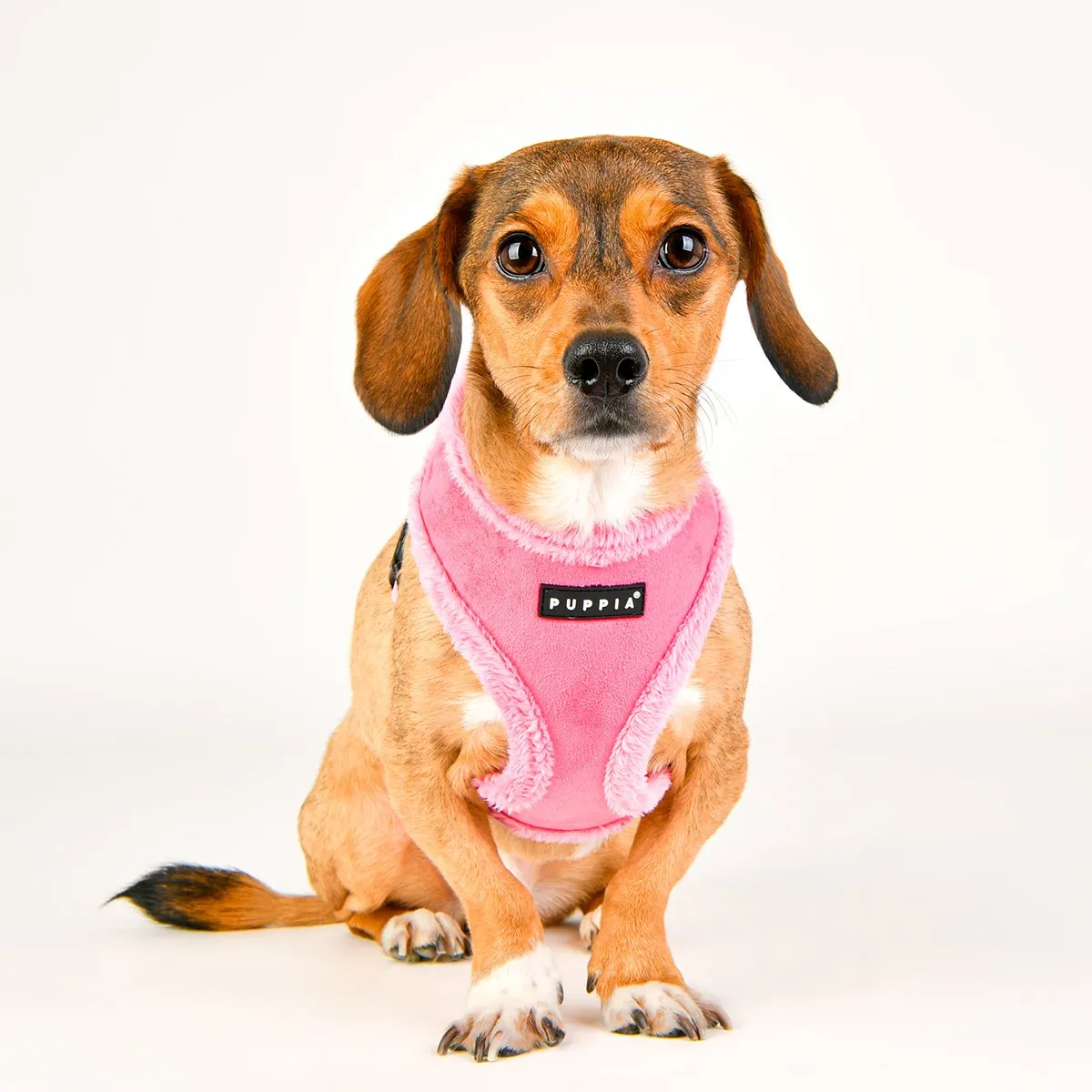 Terry Dog Harness A
