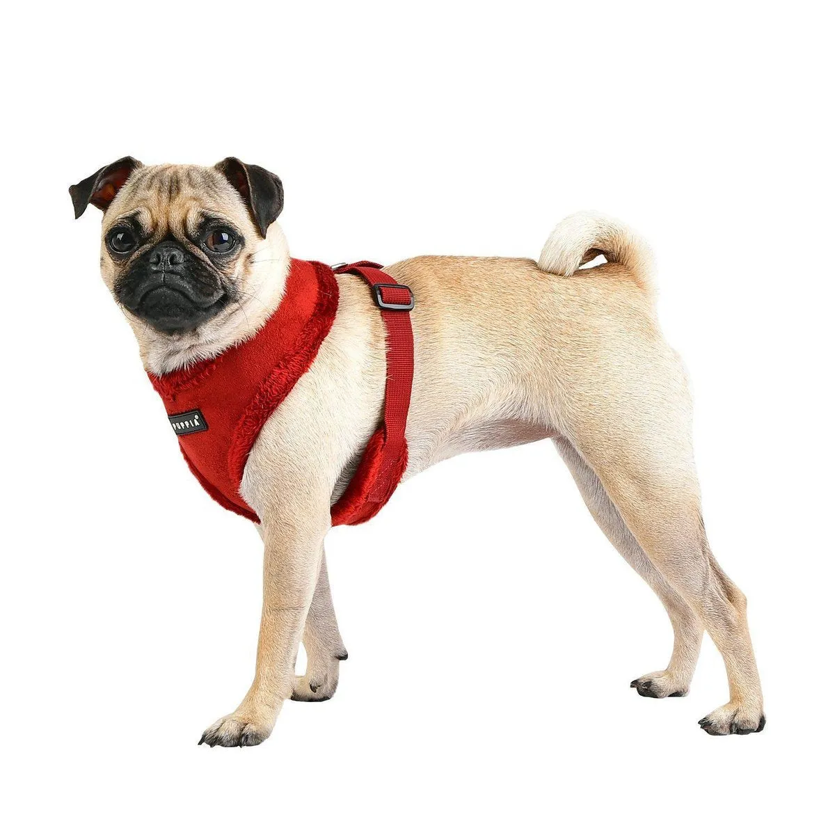 Terry Dog Harness A