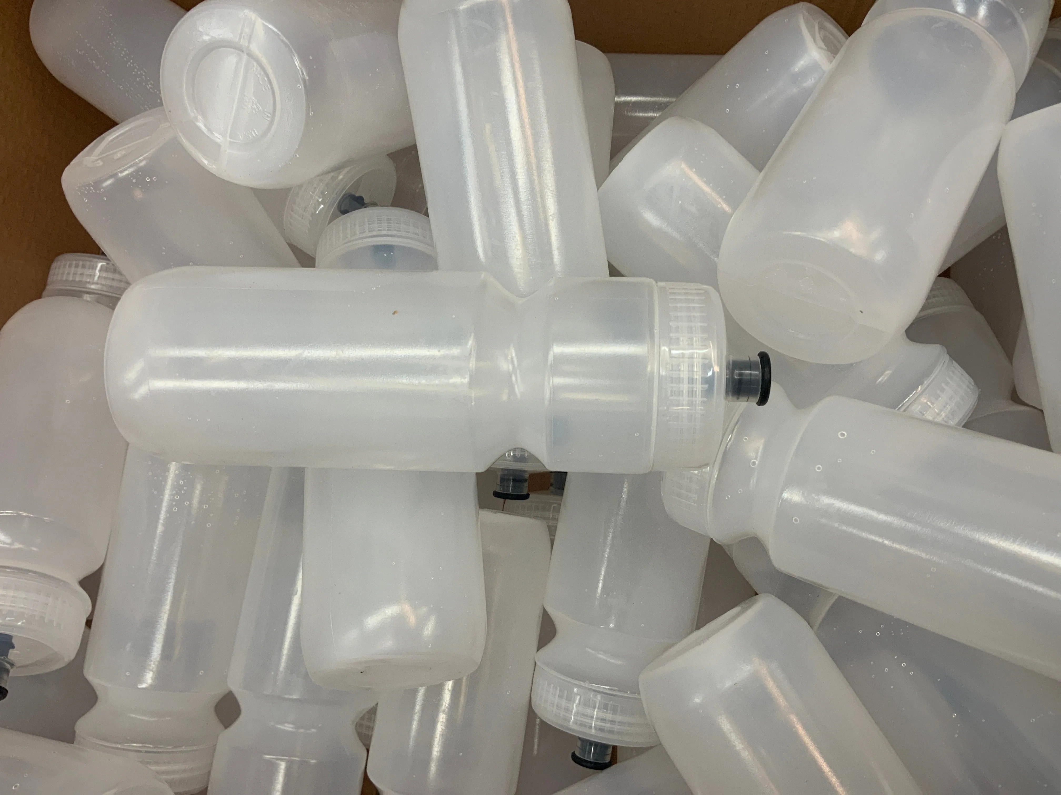 Water Bottle