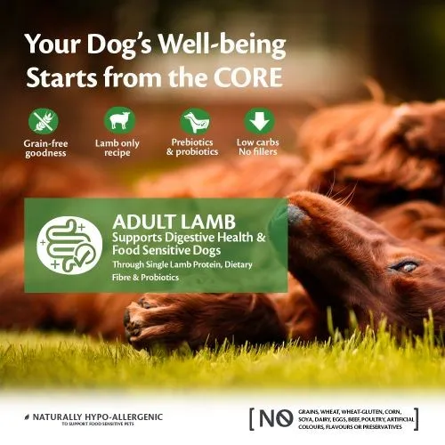 Wellness Core Lamb Adult Dry Dog Food 10kg   2kg Free